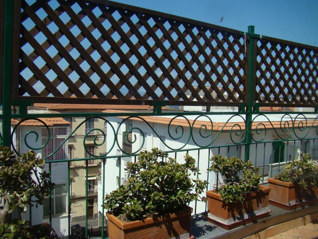 Sorrento Inn Guesthouse Dış mekan fotoğraf