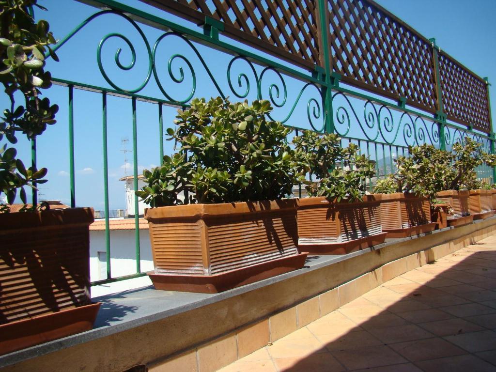 Sorrento Inn Guesthouse Dış mekan fotoğraf